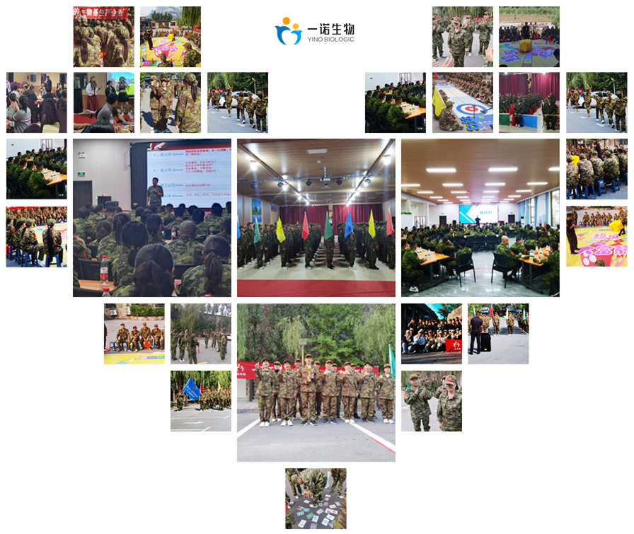 生物基戊二醇廠家,正戊醇生產廠家